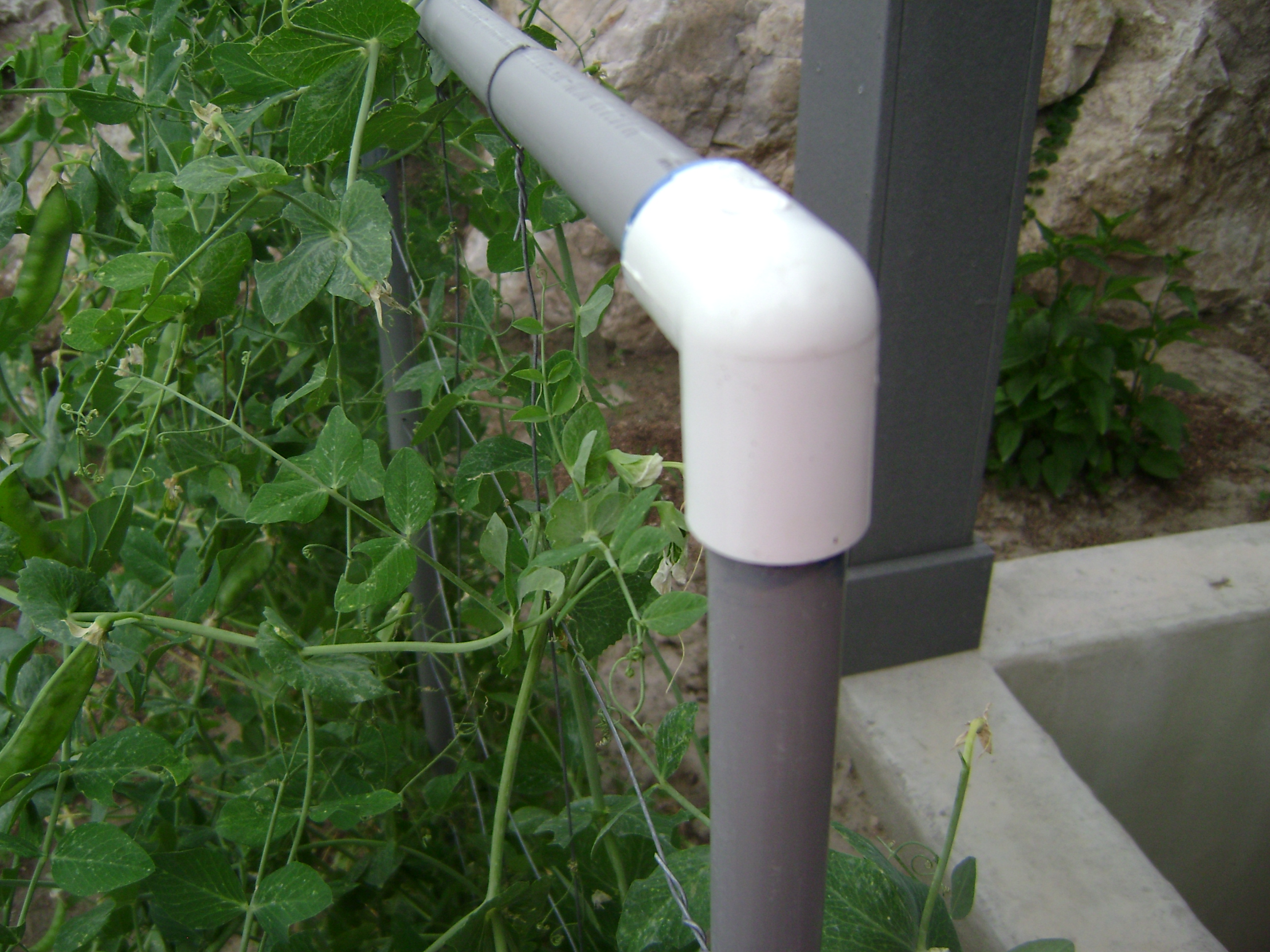 How to make a Garden Trellis out of PVC pipe Craft