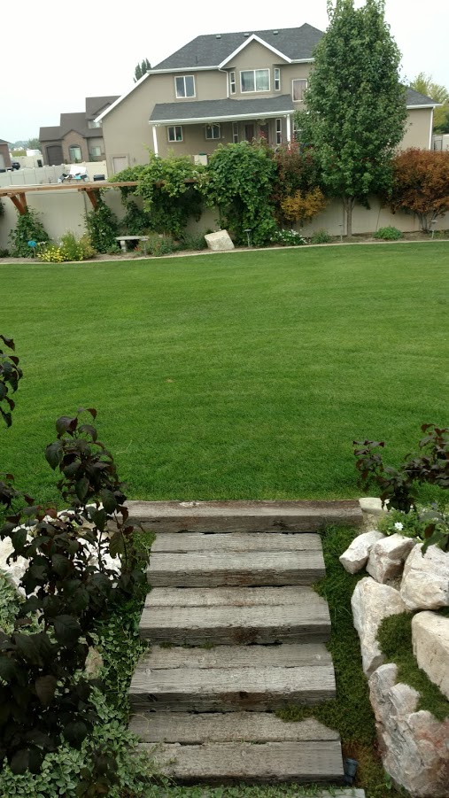 Drape Trellis distant