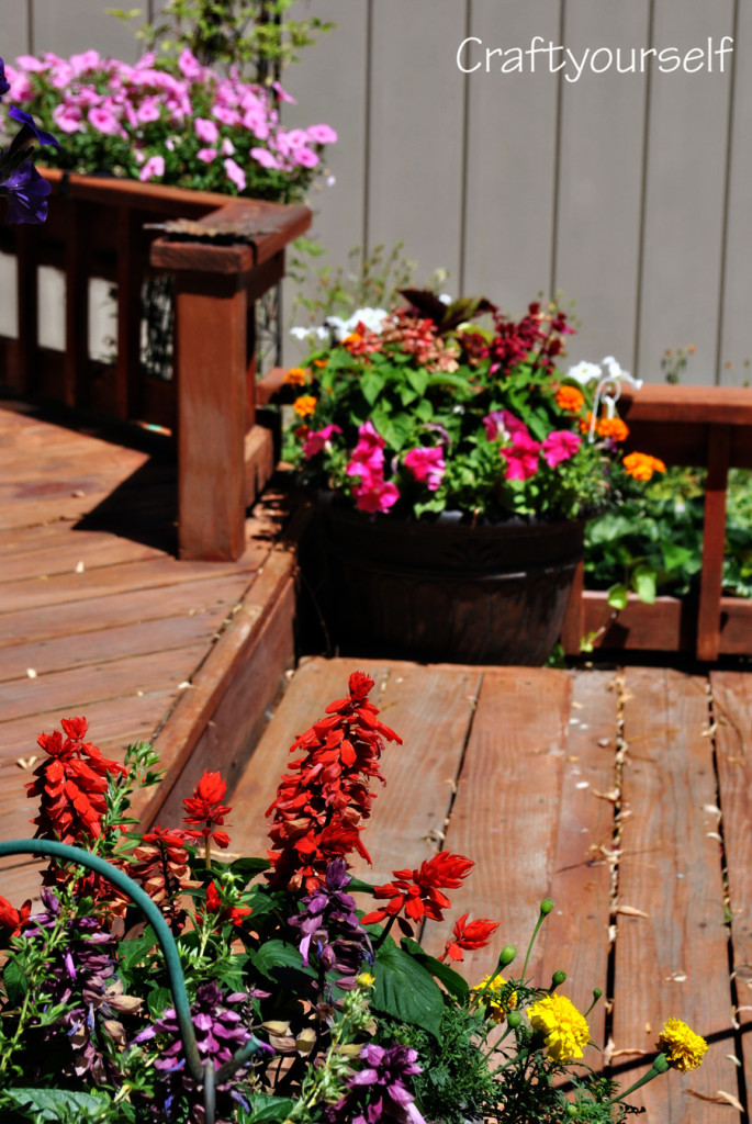 My mother's garden and where my love for gardening came from Craft