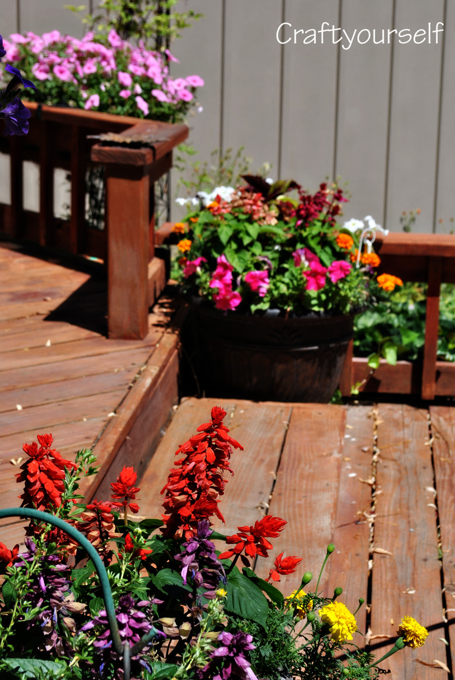 moms yard close up flower pots
