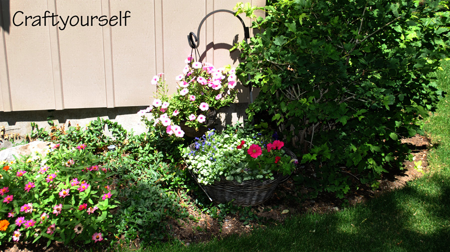 moms yard flower bed