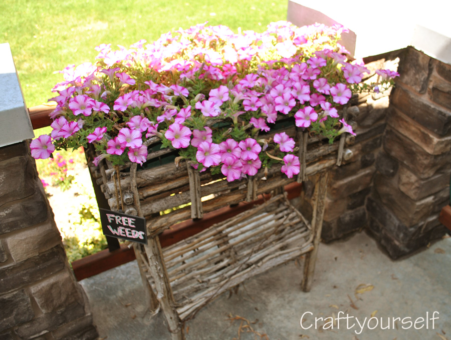 moms yard free weed flowers