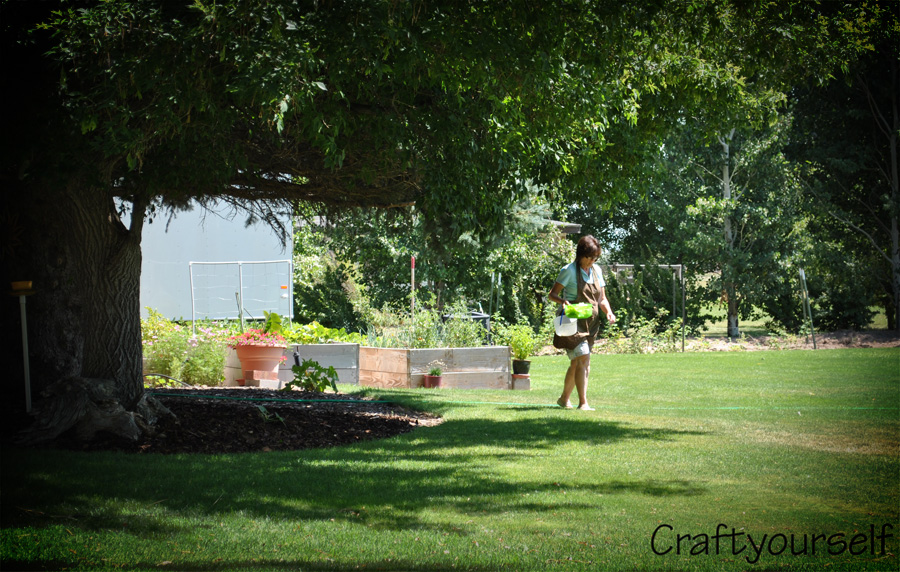 moms yard her gardening