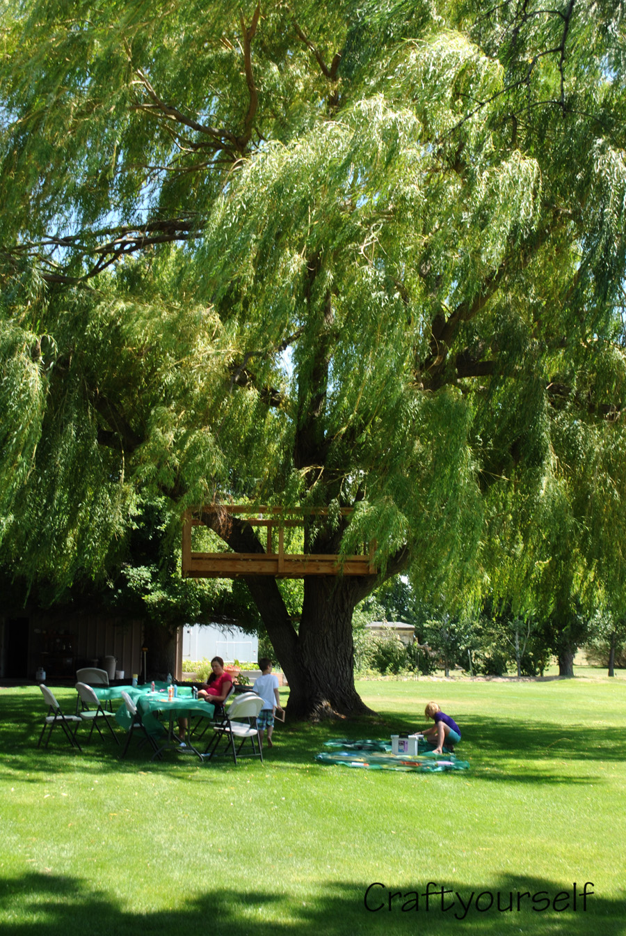 moms yard willow tree