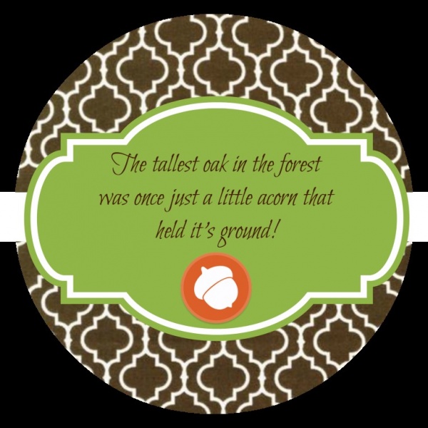 little acorn jar topper