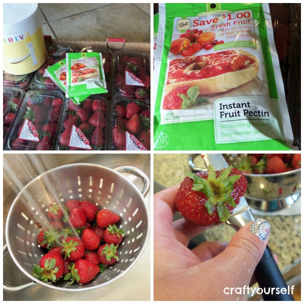 quick freezer jam ingredients