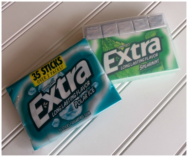 vinyl pouch extra gum packs
