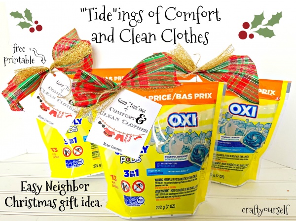 Tideings of Comfort and Clean Clothes Easy Neighbor Christmas gift idea. 
